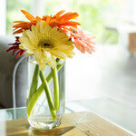 1528557894667 150x150